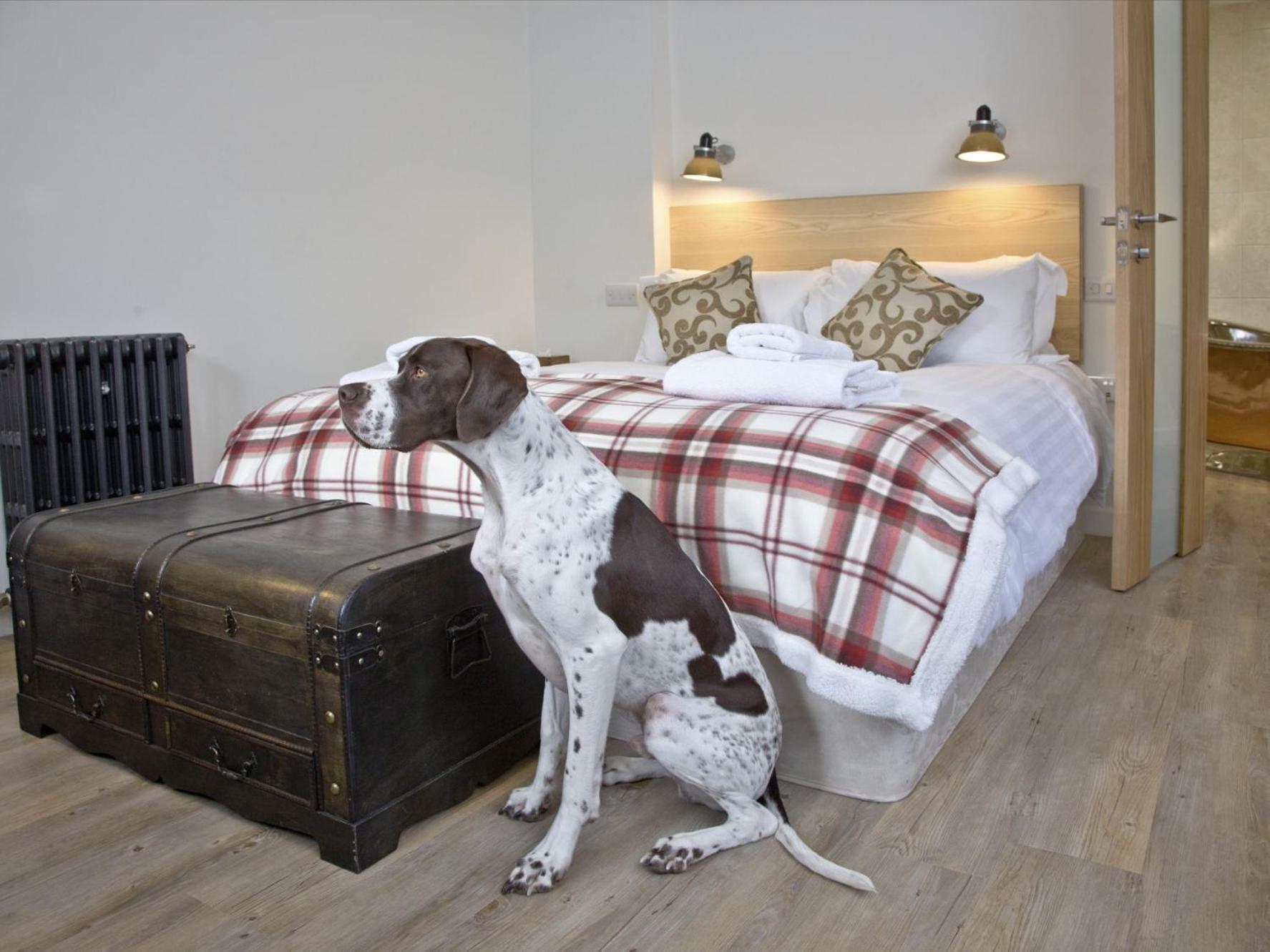 The Fortescue Inn Salcombe Bilik gambar